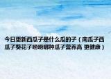 今日更新西瓜子是什么瓜的子（南瓜子西瓜子葵花子唠唠哪种瓜子营养高 更健康）