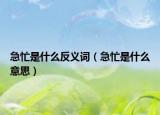 急忙是什么反义词（急忙是什么意思）