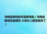 乌梅是碱性的还是酸性的（乌梅是酸性还是碱性 大部分人都没迷惑了）