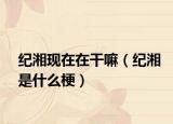 纪湘现在在干嘛（纪湘是什么梗）
