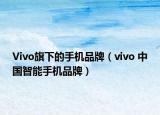 Vivo旗下的手机品牌（vivo 中国智能手机品牌）