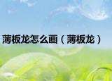 薄板龙怎么画（薄板龙）