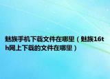 魅族手机下载文件在哪里（魅族16th网上下载的文件在哪里）
