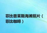 菲比普莱斯海滩照片（菲比咖啡）
