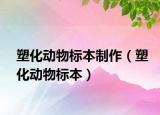 塑化动物标本制作（塑化动物标本）