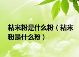 粘米粉是什么粉（粘米粉是什么粉）