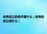 收养成立的条件是什么（收养的成立指什么）