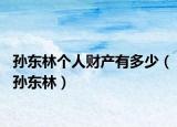 孙东林个人财产有多少（孙东林）