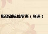 撕腿训练俄罗斯（撕逼）