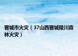 晋城市火灾（37山西晋城陵川森林火灾）