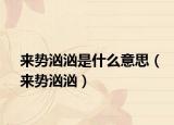 来势汹汹是什么意思（来势汹汹）
