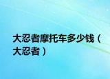 大忍者摩托车多少钱（大忍者）