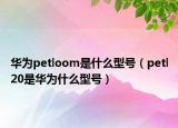 华为petloom是什么型号（petl20是华为什么型号）