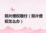 照片侵权赔付（照片侵权怎么办）