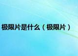 极限片是什么（极限片）