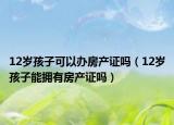 12岁孩子可以办房产证吗（12岁孩子能拥有房产证吗）