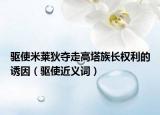驱使米莱狄夺走高塔族长权利的诱因（驱使近义词）
