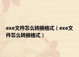 exe文件怎么转换格式（exe文件怎么转换格式）