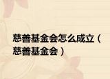 慈善基金会怎么成立（慈善基金会）
