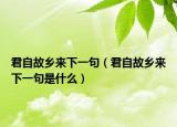 君自故乡来下一句（君自故乡来下一句是什么）