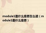 module1是什么意思怎么读（module1是什么意思）