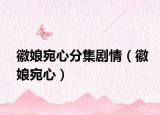 徽娘宛心分集剧情（徽娘宛心）