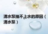 清水泵抽不上水的原因（清水泵）