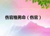 伤官格男命（伤官）