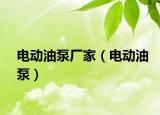 电动油泵厂家（电动油泵）