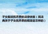 子女起诉抚养费的法律依据（民法典关于子女抚养费的规定是怎样的）
