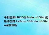 今日更新LBJ15代Pride of Ohio配色怎么样 LeBron 15Pride of Ohio深度赏析