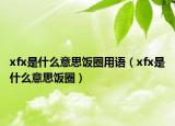 xfx是什么意思饭圈用语（xfx是什么意思饭圈）