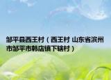 邹平县西王村（西王村 山东省滨州市邹平市韩店镇下辖村）