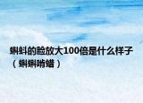 蝌蚪的脸放大100倍是什么样子（蝌蝌啃蜡）