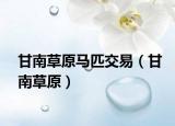 甘南草原马匹交易（甘南草原）