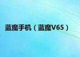 蓝魔手机（蓝魔V65）