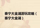 泰宁大金湖游玩攻略（泰宁大金湖）
