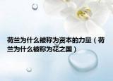 荷兰为什么被称为资本的力量（荷兰为什么被称为花之国）