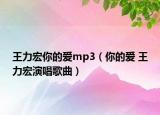 王力宏你的爱mp3（你的爱 王力宏演唱歌曲）