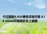 今日更新AJ6小麦色实物开箱 AJ6 wheat开箱赏析及上脚图