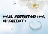 什么叫九窍器玉茄子小说（什么叫九窍器玉茄子）
