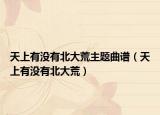 天上有没有北大荒主题曲谱（天上有没有北大荒）