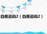 白夜追凶2（白夜追凶2）