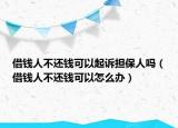 借钱人不还钱可以起诉担保人吗（借钱人不还钱可以怎么办）