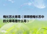 梅长苏火寒毒（琅琊榜梅长苏中的火寒毒是什么毒）