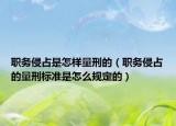 职务侵占是怎样量刑的（职务侵占的量刑标准是怎么规定的）
