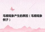 毛细现象产生的原因（毛细现象例子）
