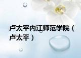 卢太平内江师范学院（卢太平）