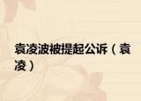 袁凌波被提起公诉（袁凌）