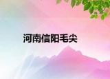 河南信阳毛尖
